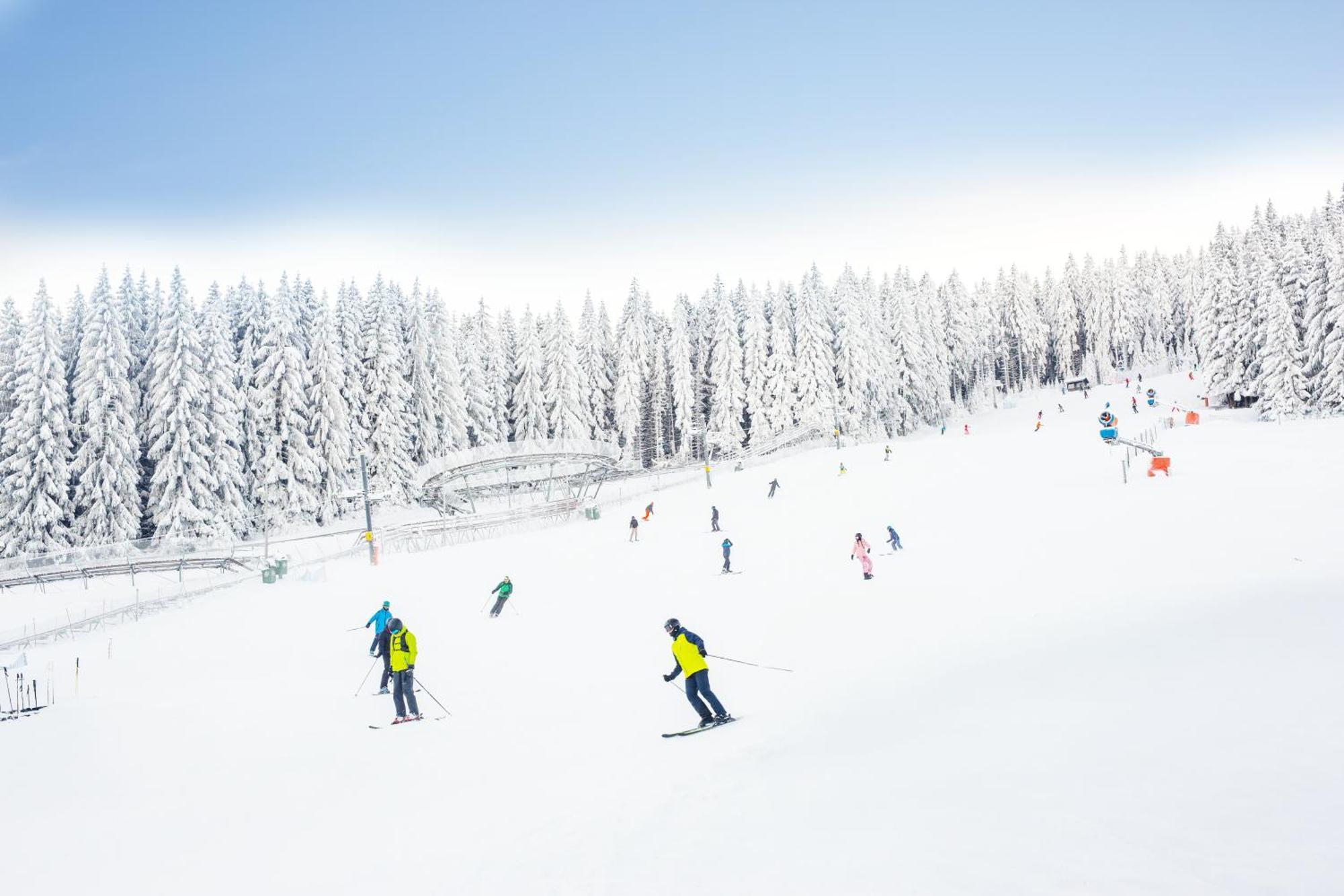Panorama Ski, Bike, Spa & Restaurant - Czarna Gora Resort Stronie Slaskie Exterior photo